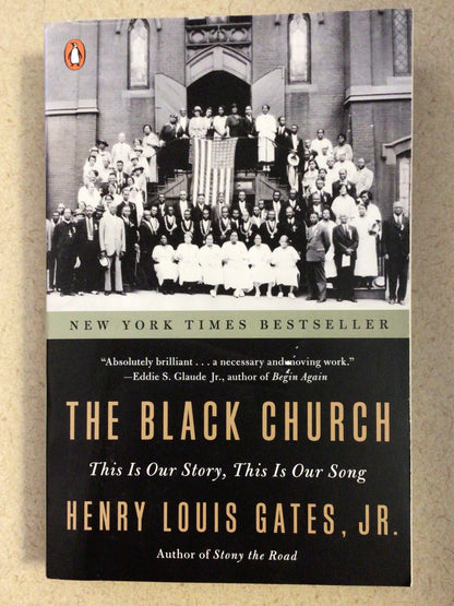 The Black Church (Paperback)