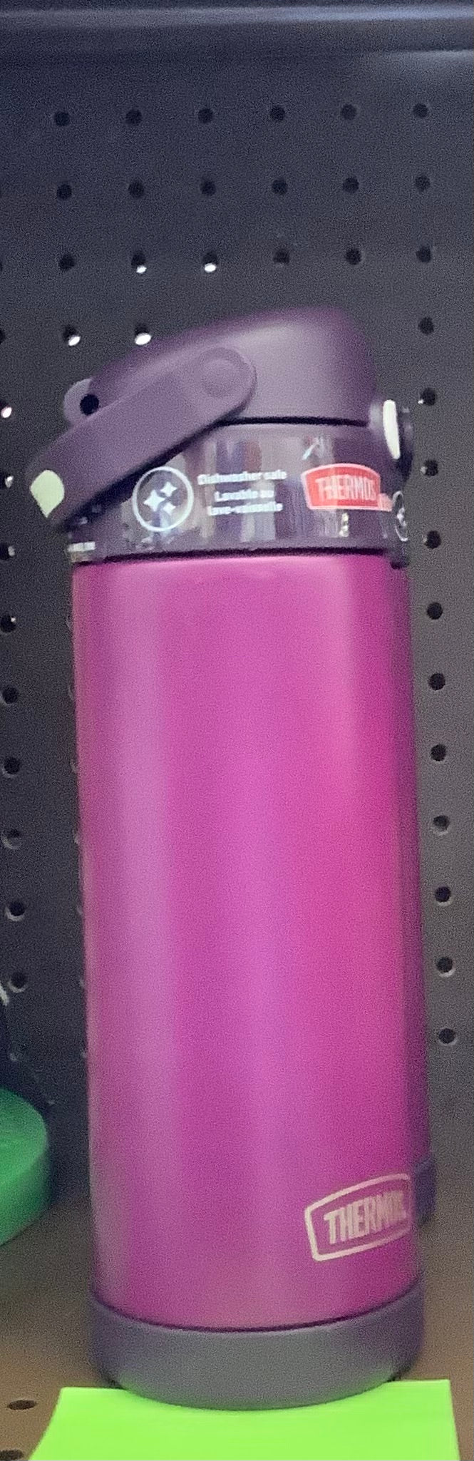 Thermos 16oz Stainless Steel FUNtainer Water Bottle with Bail Handle - Red Violet