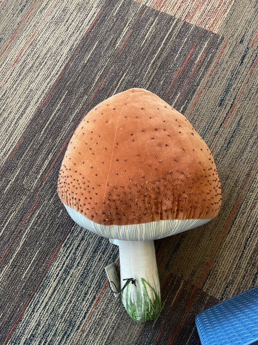 Mushroom Pillow Embellished Velvet