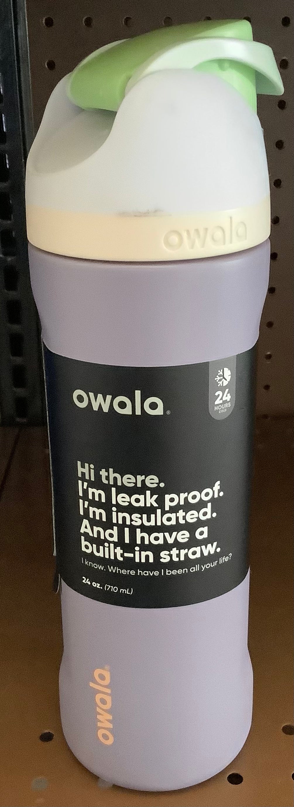 Owala 24oz FreeSip Stainless Steel Water Bottle - Due North