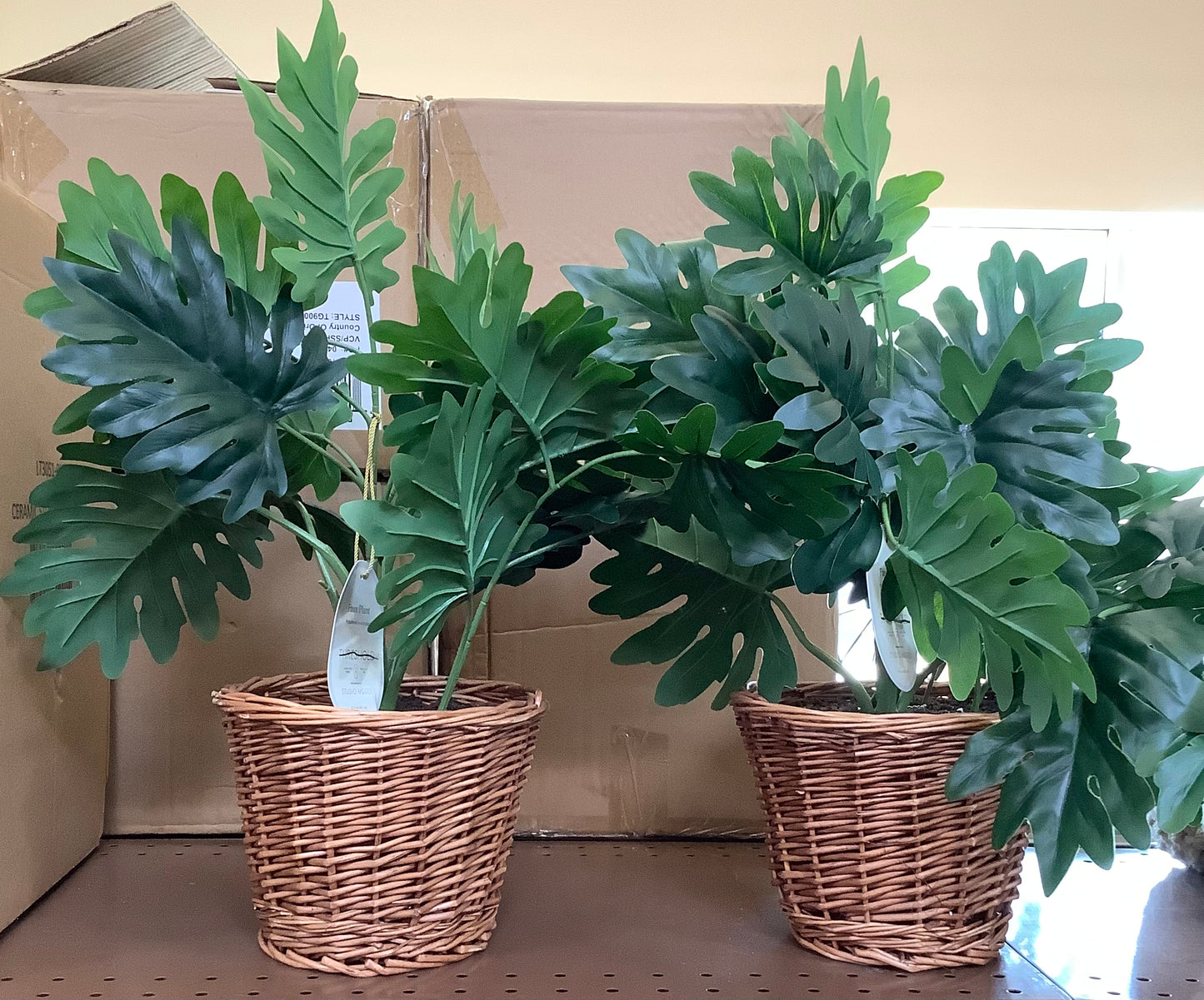 Philodendron Decorative Plant in Basket